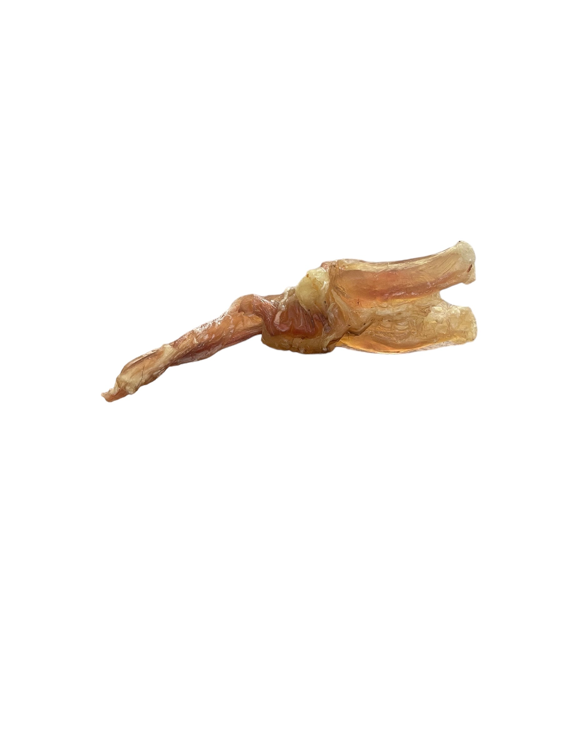 Dehydrated Beef Tendon