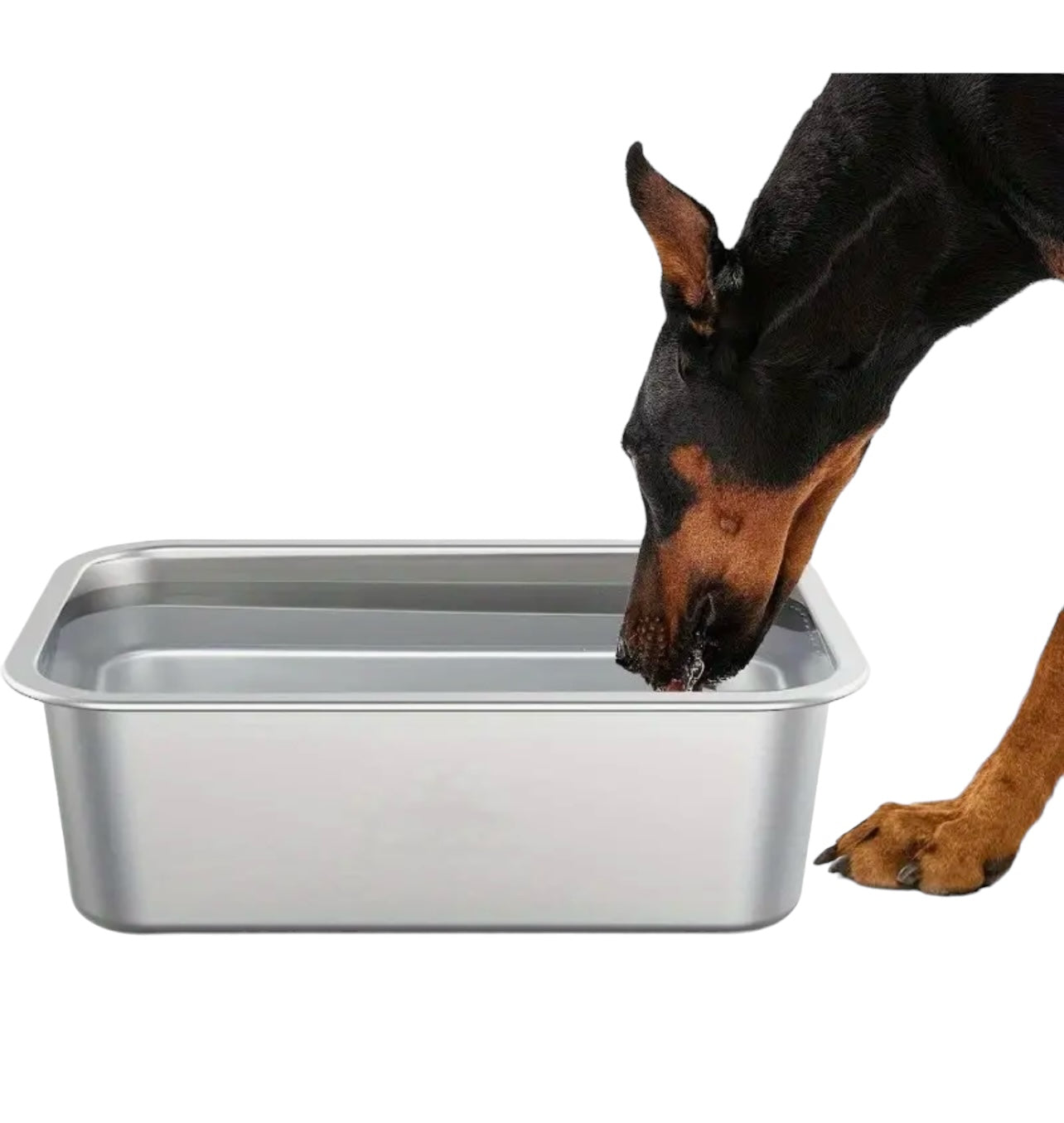 Heavy Duty Stainless Steel Dog Bowls