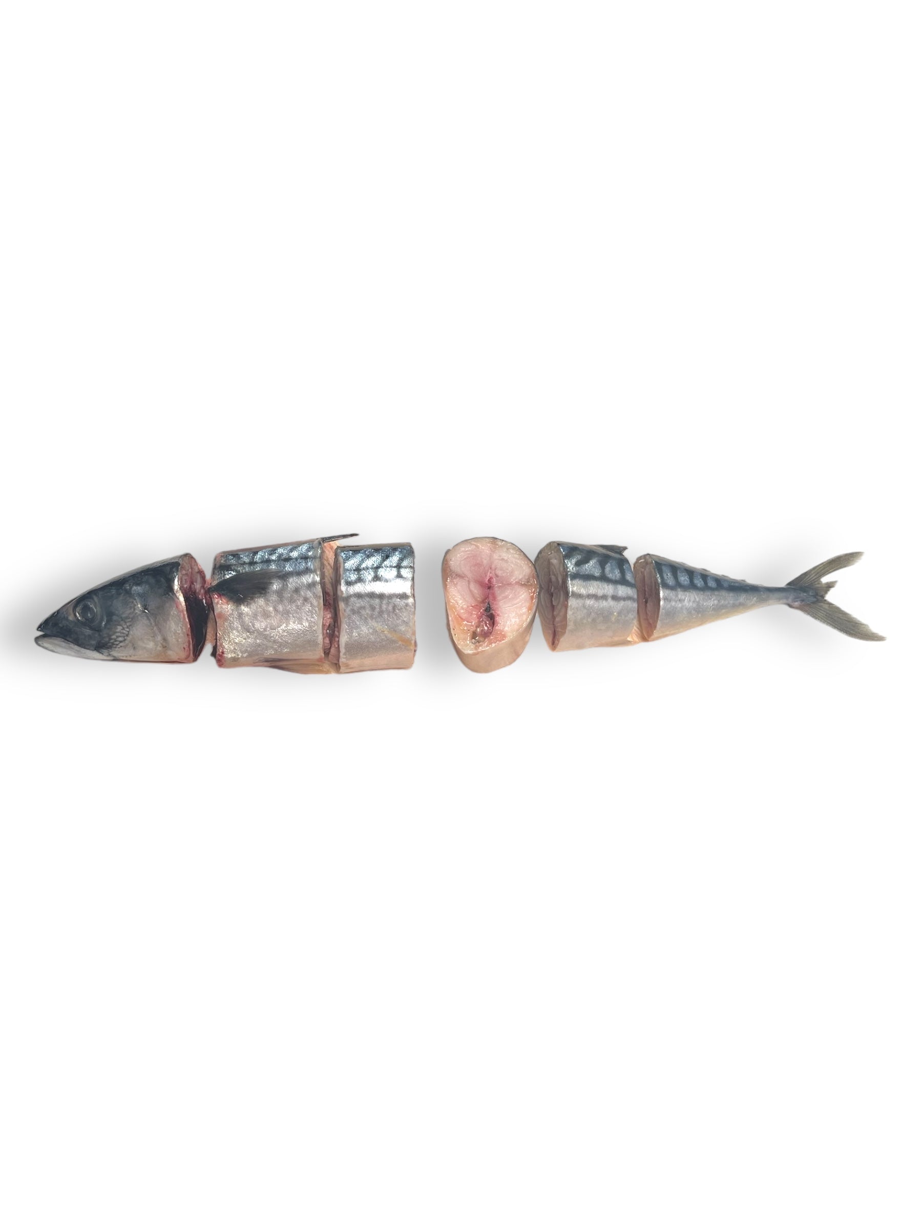 Raw Wild Caught Mackerel