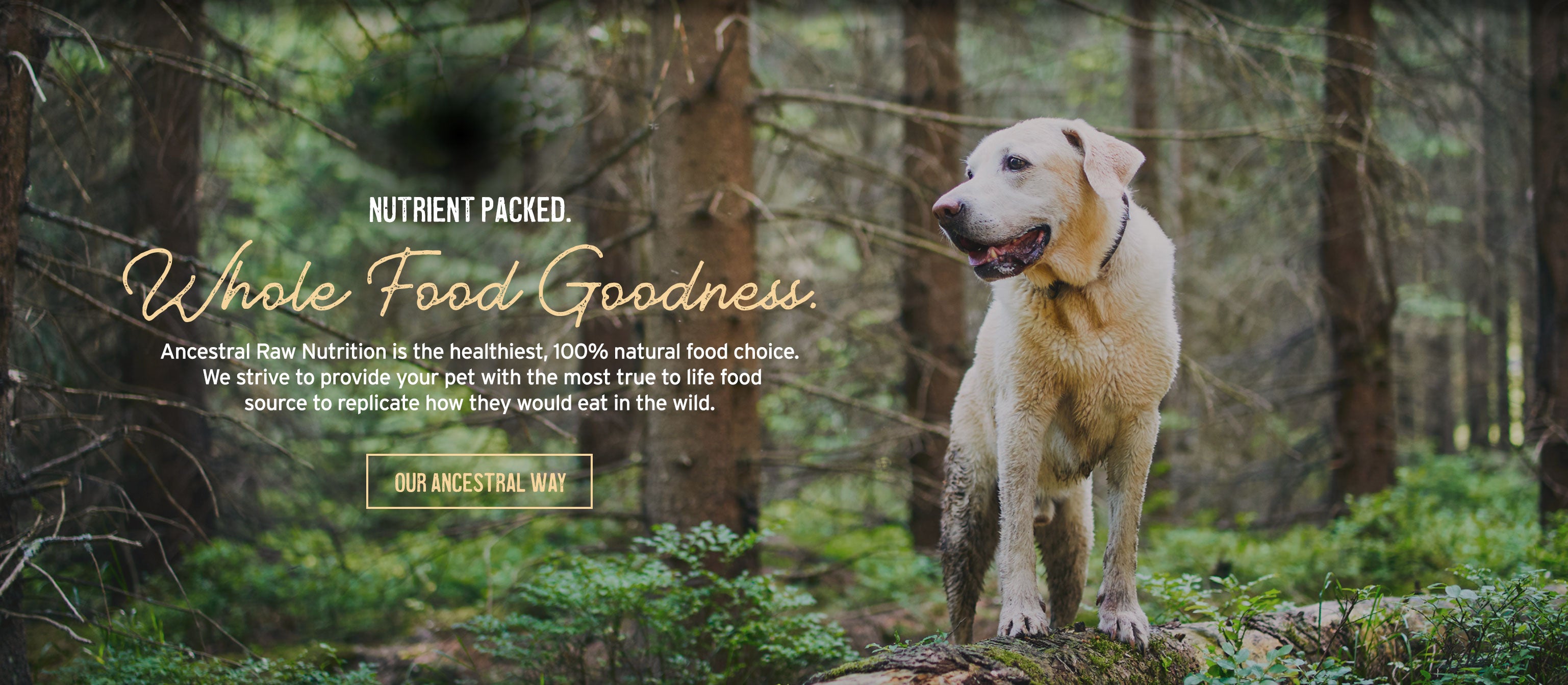 100 Natural Raw Pet Food from Ancestral Raw Nutrition